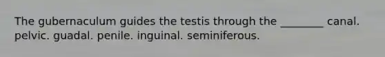 The gubernaculum guides the testis through the ________ canal. pelvic. guadal. penile. inguinal. seminiferous.