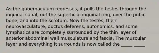 As the gubernaculum regresses, it pulls the testes through the inguinal canal, out the superficial inguinal ring, over the pubic bone, and into the scrotum. Now the testes, their neurovasculature, ductus deferens, autonomics, and some lymphatics are completely surrounded by the thin layer of anterior abdominal wall musculature and fascia. The muscular layer and everything it surrounds is now called the _____ _____