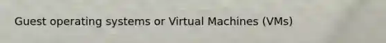 Guest operating systems or Virtual Machines (VMs)