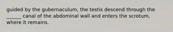 guided by the gubernaculum, the testis descend through the ______ canal of the abdominal wall and enters the scrotum, where it remains.