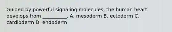 Guided by powerful signaling molecules, the human heart develops from __________. A. mesoderm B. ectoderm C. cardioderm D. endoderm