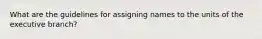 What are the guidelines for assigning names to the units of the executive branch?