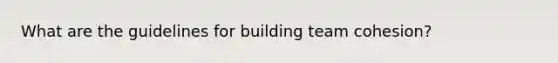 What are the guidelines for building team cohesion?