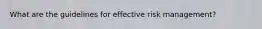 What are the guidelines for effective risk management?
