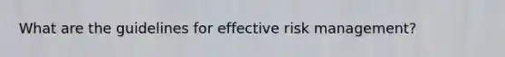 What are the guidelines for effective risk management?
