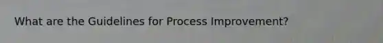 What are the Guidelines for Process Improvement?