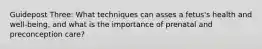 Guidepost Three: What techniques can asses a fetus's health and well-being, and what is the importance of prenatal and preconception care?
