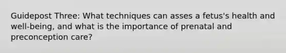 Guidepost Three: What techniques can asses a fetus's health and well-being, and what is the importance of prenatal and preconception care?