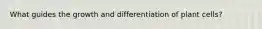 What guides the growth and differentiation of plant cells?