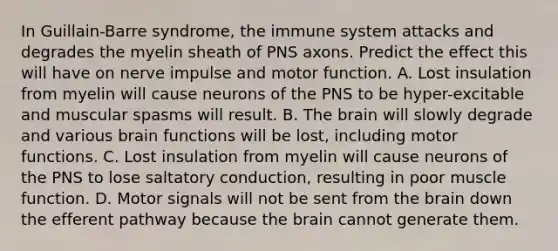 In Guillain-Barre syndrome, the immune system attacks and degrades the myelin sheath of PNS axons. Predict the effect this will have on nerve impulse and motor function. A. Lost insulation from myelin will cause neurons of the PNS to be hyper-excitable and muscular spasms will result. B. <a href='https://www.questionai.com/knowledge/kLMtJeqKp6-the-brain' class='anchor-knowledge'>the brain</a> will slowly degrade and various brain functions will be lost, including motor functions. C. Lost insulation from myelin will cause neurons of the PNS to lose saltatory conduction, resulting in poor muscle function. D. Motor signals will not be sent from the brain down the efferent pathway because the brain cannot generate them.