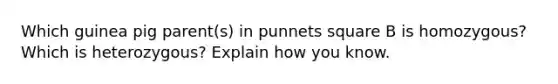 Which guinea pig parent(s) in punnets square B is homozygous? Which is heterozygous? Explain how you know.