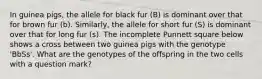 In guinea pigs, the allele for black fur (B) is dominant over that for brown fur (b). Similarly, the allele for short fur (S) is dominant over that for long fur (s). The incomplete Punnett square below shows a cross between two guinea pigs with the genotype 'BbSs'. What are the genotypes of the offspring in the two cells with a question mark?