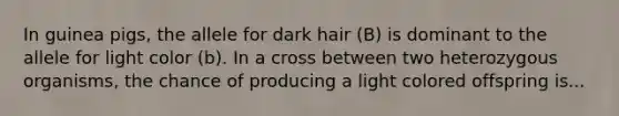 In guinea pigs, the allele for dark hair (B) is dominant to the allele for light color (b). In a cross between two heterozygous organisms, the chance of producing a light colored offspring is...