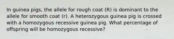 In guinea pigs, the allele for rough coat (R) is dominant to the allele for smooth coat (r). A heterozygous guinea pig is crossed with a homozygous recessive guinea pig. What percentage of offspring will be homozygous recessive?