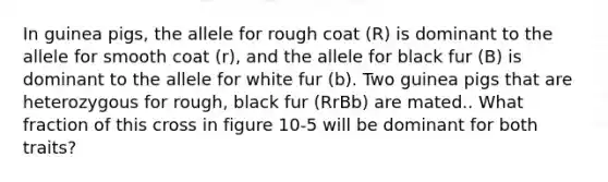 In guinea pigs, the allele for rough coat (R) is dominant to the allele for smooth coat (r), and the allele for black fur (B) is dominant to the allele for white fur (b). Two guinea pigs that are heterozygous for rough, black fur (RrBb) are mated.. What fraction of this cross in figure 10-5 will be dominant for both traits?