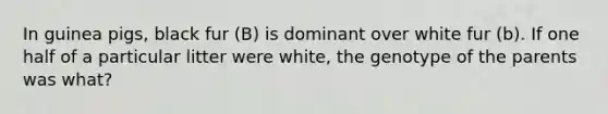 In guinea pigs, black fur (B) is dominant over white fur (b). If one half of a particular litter were white, the genotype of the parents was what?