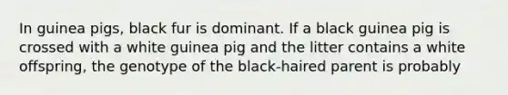 In guinea pigs, black fur is dominant. If a black guinea pig is crossed with a white guinea pig and the litter contains a white offspring, the genotype of the black-haired parent is probably