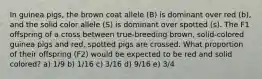 In guinea pigs, the brown coat allele (B) is dominant over red (b), and the solid color allele (S) is dominant over spotted (s). The F1 offspring of a cross between true-breeding brown, solid-colored guinea pigs and red, spotted pigs are crossed. What proportion of their offspring (F2) would be expected to be red and solid colored? a) 1/9 b) 1/16 c) 3/16 d) 9/16 e) 3/4