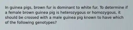 In guinea pigs, brown fur is dominant to white fur. To determine if a female brown guinea pig is heterozygous or homozygous, it should be crossed with a male guinea pig known to have which of the following genotypes?