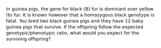 In guinea pigs, the gene for black (B) fur is dominant over yellow (b) fur. It is known however that a homozygous black genotype is fatal. You bred two black guinea pigs and they have 12 baby guinea pigs that survive. If the offspring follow the expected genotypic/phenotypic ratio, what would you expect for the surviving offspring?