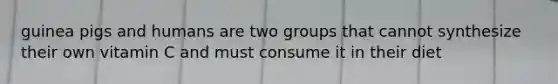 guinea pigs and humans are two groups that cannot synthesize their own vitamin C and must consume it in their diet