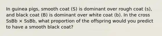 In guinea pigs, smooth coat (S) is dominant over rough coat (s), and black coat (B) is dominant over white coat (b). In the cross SsBb × SsBb, what proportion of the offspring would you predict to have a smooth black coat?