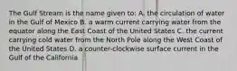 The Gulf Stream is the name given to: A. the circulation of water in the Gulf of Mexico B. a warm current carrying water from the equator along the East Coast of the United States C. the current carrying cold water from the North Pole along the West Coast of the United States D. a counter-clockwise surface current in the Gulf of the California