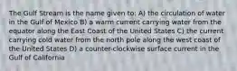 The Gulf Stream is the name given to: A) the circulation of water in the Gulf of Mexico B) a warm current carrying water from the equator along the East Coast of the United States C) the current carrying cold water from the north pole along the west coast of the United States D) a counter-clockwise surface current in the Gulf of California