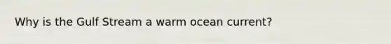 Why is the Gulf Stream a warm ocean current?