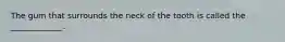 The gum that surrounds the neck of the tooth is called the _____________.