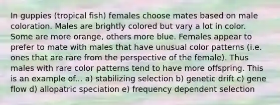 In guppies (tropical fish) females choose mates based on male coloration. Males are brightly colored but vary a lot in color. Some are more orange, others more blue. Females appear to prefer to mate with males that have unusual color patterns (i.e. ones that are rare from the perspective of the female). Thus males with rare color patterns tend to have more offspring. This is an example of... a) stabilizing selection b) genetic drift c) gene flow d) allopatric speciation e) frequency dependent selection