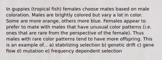 In guppies (tropical fish) females choose mates based on male coloration. Males are brightly colored but vary a lot in color. Some are more orange, others more blue. Females appear to prefer to mate with males that have unusual color patterns (i.e. ones that are rare from the perspective of the female). Thus males with rare color patterns tend to have more offspring. This is an example of... a) stabilizing selection b) genetic drift c) gene flow d) mutation e) frequency dependent selection