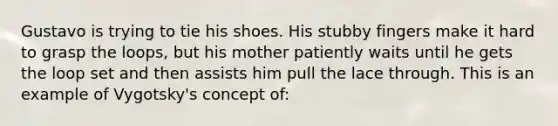 Gustavo is trying to tie his shoes. His stubby fingers make it hard to grasp the loops, but his mother patiently waits until he gets the loop set and then assists him pull the lace through. This is an example of Vygotsky's concept of: