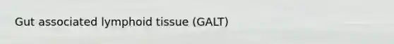 Gut associated lymphoid tissue (GALT)