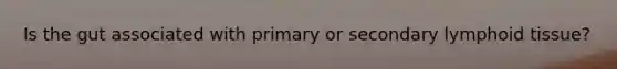 Is the gut associated with primary or secondary lymphoid tissue?
