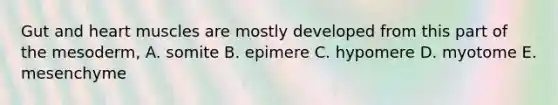 Gut and heart muscles are mostly developed from this part of the mesoderm, A. somite B. epimere C. hypomere D. myotome E. mesenchyme