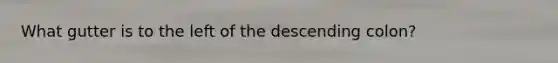 What gutter is to the left of the descending colon?