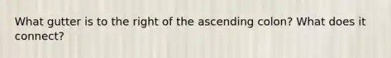 What gutter is to the right of the ascending colon? What does it connect?