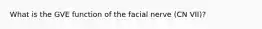 What is the GVE function of the facial nerve (CN VII)?