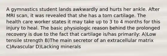 A gymnastics student lands awkwardly and hurts her ankle. After MRI scan, it was revealed that she has a torn cartilage. The health care worker states it may take up to 3 to 4 months for this injury to heal. The basic physiologic reason behind the prolonged recovery is due to the fact that cartilage is/has primarily: A)Low tensile strength B)The main secretor of an extracellular matrix C)Avascular D)Lacking minerals