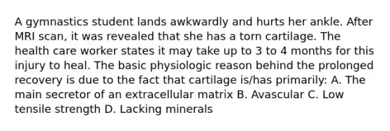 A gymnastics student lands awkwardly and hurts her ankle. After MRI scan, it was revealed that she has a torn cartilage. The health care worker states it may take up to 3 to 4 months for this injury to heal. The basic physiologic reason behind the prolonged recovery is due to the fact that cartilage is/has primarily: A. The main secretor of an extracellular matrix B. Avascular C. Low tensile strength D. Lacking minerals