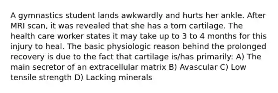 A gymnastics student lands awkwardly and hurts her ankle. After MRI scan, it was revealed that she has a torn cartilage. The health care worker states it may take up to 3 to 4 months for this injury to heal. The basic physiologic reason behind the prolonged recovery is due to the fact that cartilage is/has primarily: A) The main secretor of an extracellular matrix B) Avascular C) Low tensile strength D) Lacking minerals