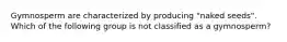 Gymnosperm are characterized by producing "naked seeds". Which of the following group is not classified as a gymnosperm?