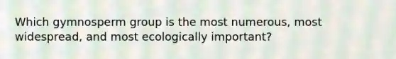 Which gymnosperm group is the most numerous, most widespread, and most ecologically important?