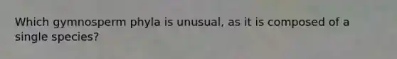 Which gymnosperm phyla is unusual, as it is composed of a single species?