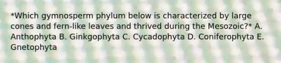 *Which gymnosperm phylum below is characterized by large cones and fern-like leaves and thrived during the Mesozoic?* A. Anthophyta B. Ginkgophyta C. Cycadophyta D. Coniferophyta E. Gnetophyta