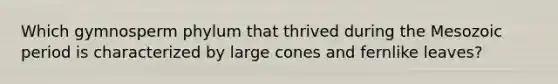 Which gymnosperm phylum that thrived during the Mesozoic period is characterized by large cones and fernlike leaves?