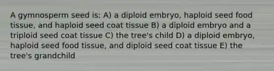 A gymnosperm seed is: A) a diploid embryo, haploid seed food tissue, and haploid seed coat tissue B) a diploid embryo and a triploid seed coat tissue C) the tree's child D) a diploid embryo, haploid seed food tissue, and diploid seed coat tissue E) the tree's grandchild