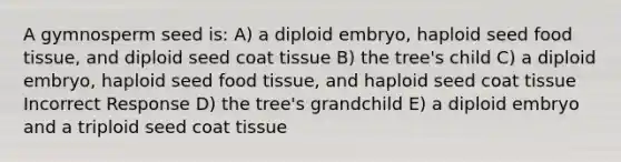 A gymnosperm seed is: A) a diploid embryo, haploid seed food tissue, and diploid seed coat tissue B) the tree's child C) a diploid embryo, haploid seed food tissue, and haploid seed coat tissue Incorrect Response D) the tree's grandchild E) a diploid embryo and a triploid seed coat tissue