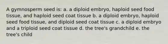 A gymnosperm seed is: a. a diploid embryo, haploid seed food tissue, and haploid seed coat tissue b. a diploid embryo, haploid seed food tissue, and diploid seed coat tissue c. a diploid embryo and a triploid seed coat tissue d. the tree's grandchild e. the tree's child